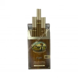Сигареты Oracle Coffee Super Slim микс