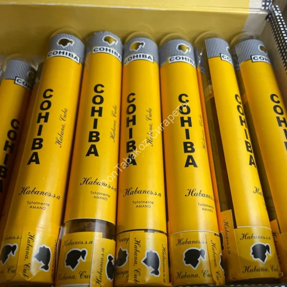 Сигары Cohiba Piramides 15 см Оптом 